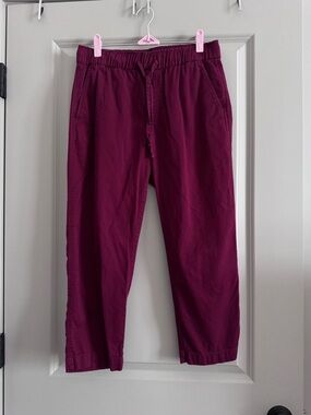 GAP Women’s Magenta Drawstring Pants